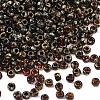 MIYUKI Round Rocailles Beads X-SEED-G010-RR4503-1