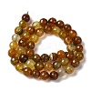 Dyed & Heated Natural Dragon Veins Agate Beads Strands G-P539-A01-26-3