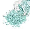 Glass Seed Beads SEED-XCP0001-48-1
