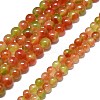 Natural Malaysia Jade Beads Strands G-L645-C01-14mm-25-2