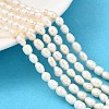Natural Cultured Freshwater Pearl Beads Strands PEAR-I007-01Q-01B-1
