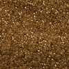MIYUKI Delica Beads SEED-MY11-DB0119-3