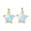 Real 18K Gold Plated Brass Micro Pave Clear Cubic Zirconia Pendants X-KK-D004-05G-C-2