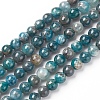 Natural Apatite Beads Strands G-L554-01-6mm-1