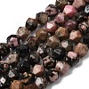 Natural Rhodonite Beads Strands G-Z119-A19-01-3