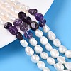 Natural Amethyst Nuggets & Natural Cultured Freshwater Pearl Beads Strands PEAR-N023-01A-07-1