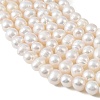 Natural Cultured Freshwater Pearl Beads Strands PEAR-L034-16C-3