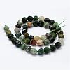 Natural Indian Agate Beads Strands G-K184-02-2