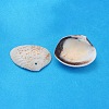 Natural Shell Beads LS-PTS022Y-2