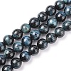 Natural Tiger Eye Beads Strands G-G448-10mm-19AB+-1