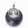 Natural Sodalite Pendants G-F573-C14-2