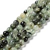 Natural Prehnite Beads Strands G-P322-48-8mm-01-1
