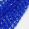 Glass Beads Strands EGLA-E010-8x12mm-13-2