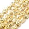 Electroplated Shell Pearl Beads Strands BSHE-A001-01B-1