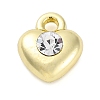 Rack Plating Alloy Pendants PALLOY-R450-08G-1