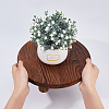 Wood Round Plant Saucer AJEW-WH0473-07B-3