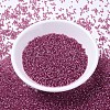 MIYUKI Delica Beads SEED-MY11-DB1341-2