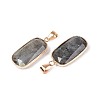 Natural Labradorite Pendants G-N349-03C-G-2
