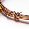 Round Aluminum Wire AW-D009-2.5mm-5m-18-2