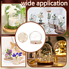 Glass Dome Cover AJEW-WH0752-088C-5