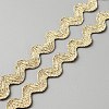 Polyester Braided Lace Trim OCOR-WH0082-76-1