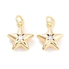 Brass with Cubic Zirconia Pendants KK-P271-38B-01G-1