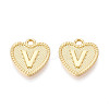 Alloy Pendants PALLOY-N157-001V-NR-1