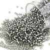 TOHO Round Seed Beads SEED-JPTR11-0029F-1