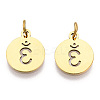 304 Stainless Steel Charms STAS-Q201-T446G-04-2
