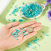 50g Glass Seed Beads SEED-TA0001-67C-6