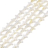 Natural Freshwater Shell Beads Strands BSHE-G036-05A-1