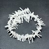 Natural Quartz Crystal Beads Strands G-P368-11-2