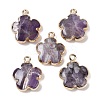 Natural Amethyst Pendants G-P566-01G-04-1