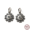 Thailand 925 Sterling Silver Charms STER-NH0001-06AS-1
