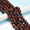 Natural Mahogany Obsidian Beads Strands G-C038-02I-2