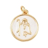 Brass Enamel Pendants KK-L251-02G-D04-1