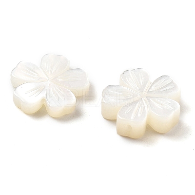 Natural White Shell Carved Beads SSHEL-Z002-02A-1