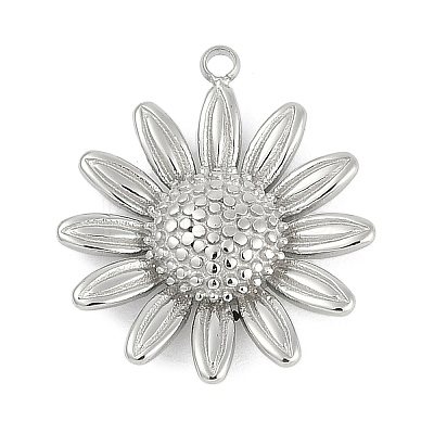 304 Stainless Steel Pendants STAS-I325-019P-01-1