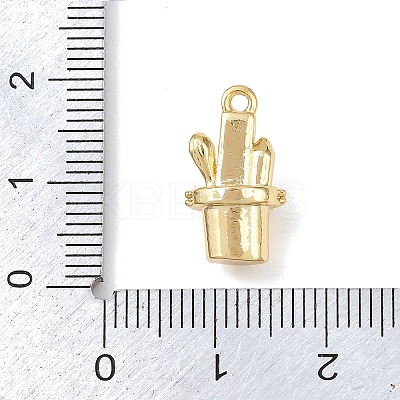 Brass Micro Pave Clear Cubic Zirconia Pendants LS-KK-G545-17G-1