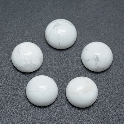 Natural Howlite Cabochons G-P393-R32-4MM-1