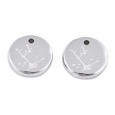 Non-Tarnish 316 Surgical Stainless Steel Charms STAS-S116-418A-P-1