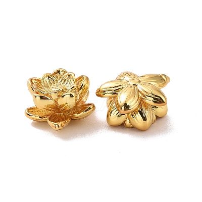 Eco-friendly Brass Beads KK-D079-08G-1