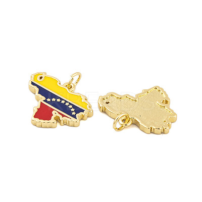 Rack Plating Brass Enamel Pendants KK-P269-07G-1