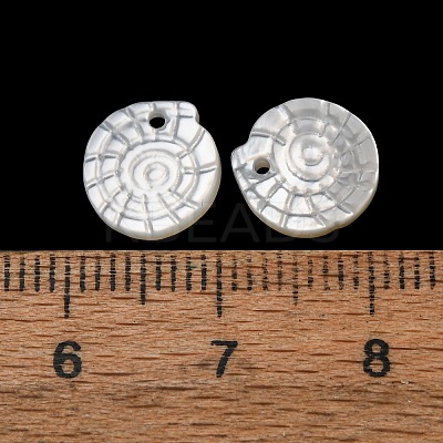 Natural White Shell Pendants SH-CBA2978-24-1