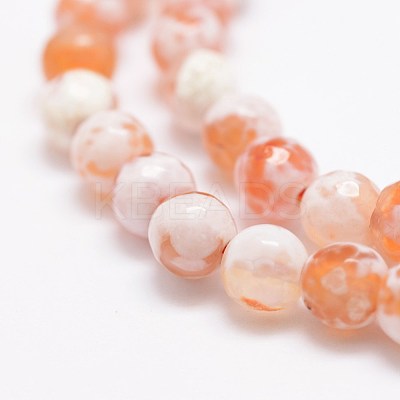 Faceted Natural Fire Crackle Agate Beads Strands G-F447-6mm-B03-1