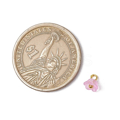60Pcs 12 Colors Frosted Acrylic Flower Charms PALLOY-JF03550-1