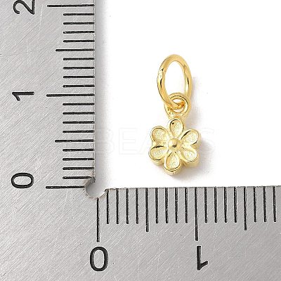 S925 Sterling Silver Pendant STER-H115-08E-G-1