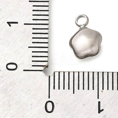 304 Stainless Steel Pendants STAS-Q346-02P-04-1