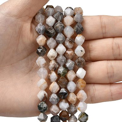Natural Bamboo Leaf Agate Beads Strands G-Z119-A27-02-1