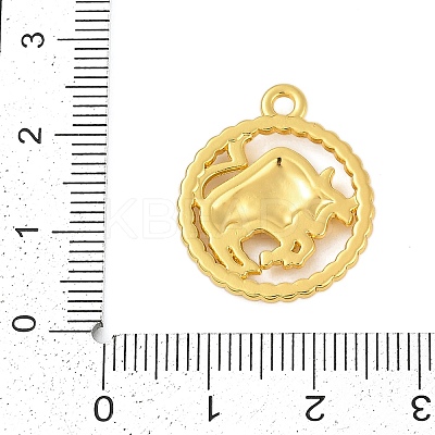 Twelve Constellations Alloy Pendants PALLOY-Q006-01I-G-1